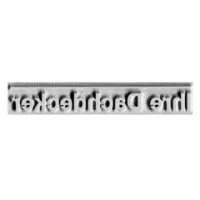Plaque de tampon Trodat Printy Dater 4813 Plaque de tampon Trodat Printy Dater 4813