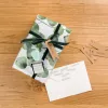 trodat® Creative Mini + Set di Cuscino - Migliori Auguri (Verde Pastello)