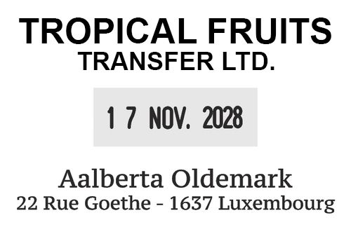 Aperçu du Printy Dater 4727