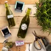 Trodat Printy 4912 Pastello - Il tuo nome